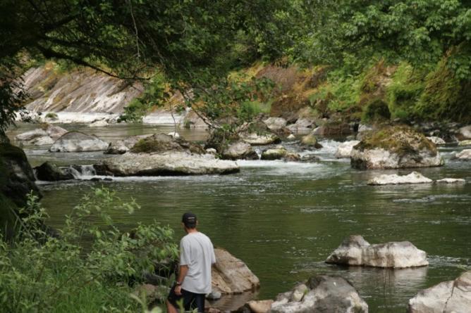 Poor Chinook Salmon Run Prompts Trask River Hatchery Hole Closure