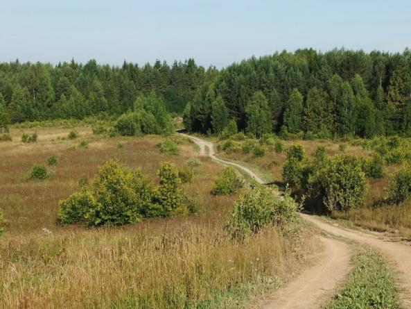 Wisconsin Proposes Opening Some State Forest Roads For Hunting Access ...