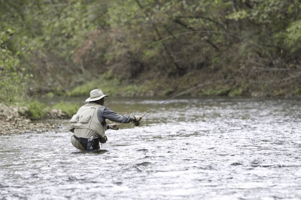 MDC To Host Veteran Free Fishing Event At Montauk State Park - The ...