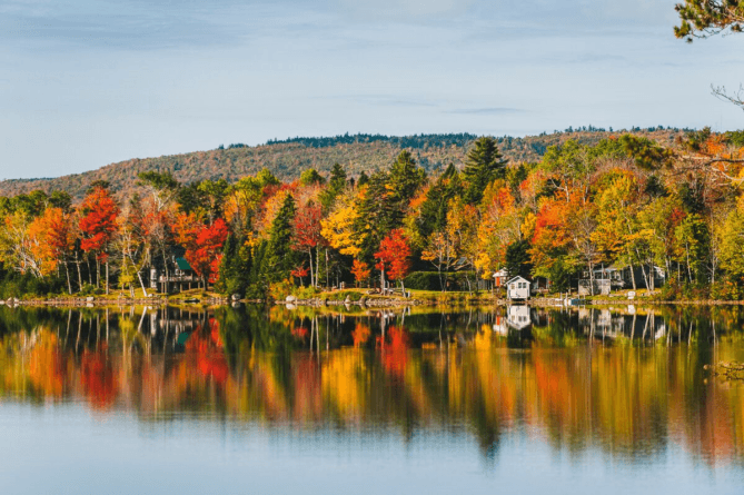 Ready Or Not, Leaves Are Beginning To Change Color