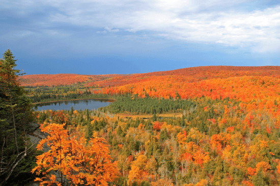 Minnesota’s State Forests Offer Beautifully Scenic Drives - The Rogue ...