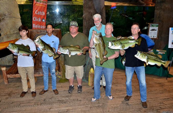 Florida’s TrophyCatch Program Celebrates 6 Successful Seasons