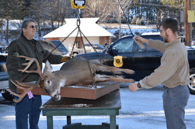 Continuing The Fight Against Chronic Wasting Disease