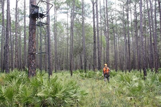 Florida Approves 2019 Hunting Rule Changes