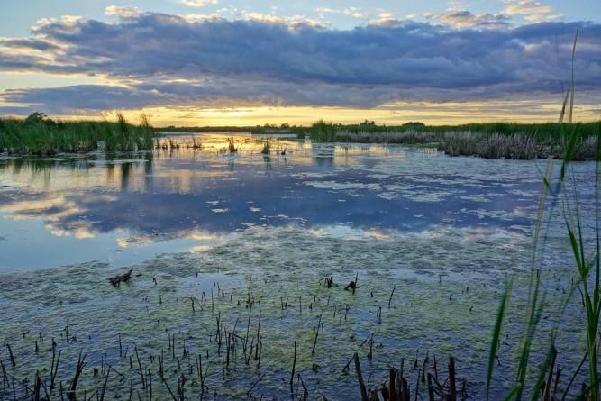 Otter Creek Marsh Is About To Get Busy - The Rogue Outdoorsman