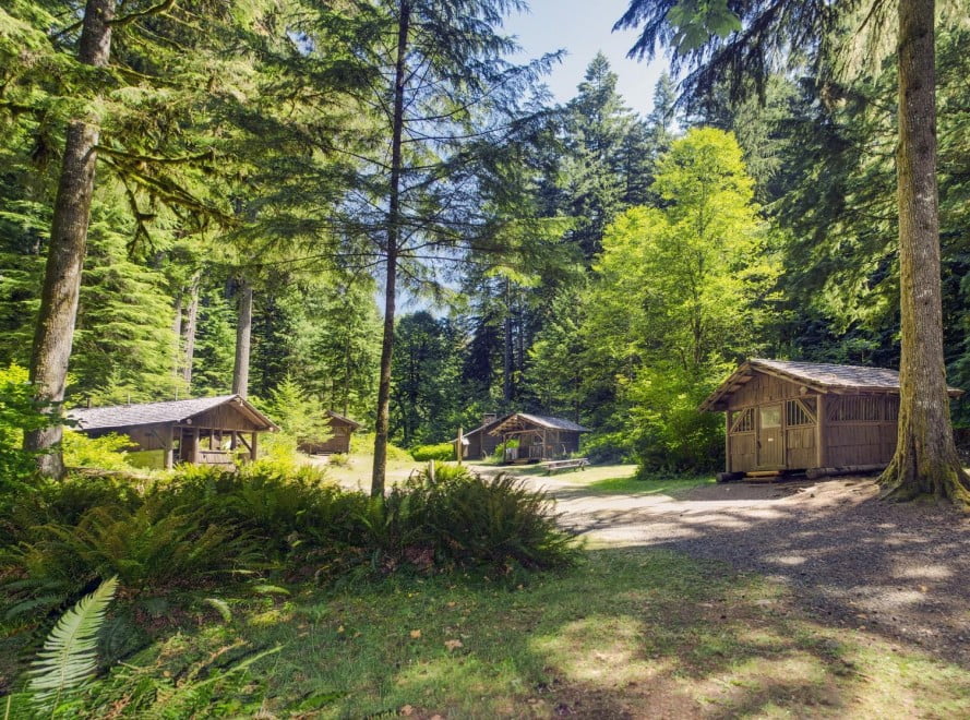 New Outdoor School Program Opens At Silver Falls State Park In 2020 ...