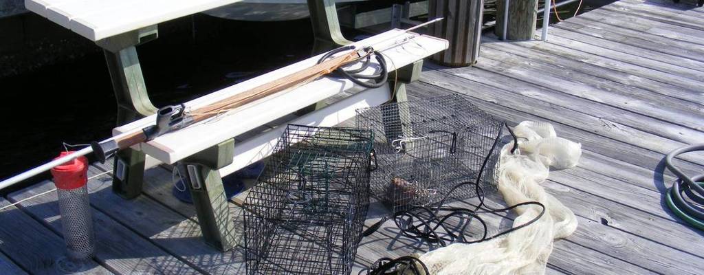 Florida Recreational Blue Crab Trap Registration Required Starting Jan. 1, 2020