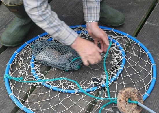 New Oregon Recreational Crab Gear Marking Rule