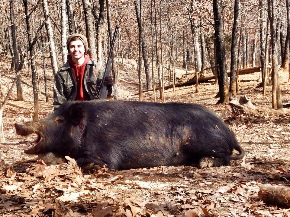 2020-missouri-feral-hog-elimination-strategy-the-rogue-outdoorsman