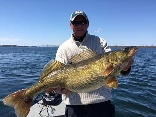 Oneida Lake Adult Walleye Population Hits One Million Fish