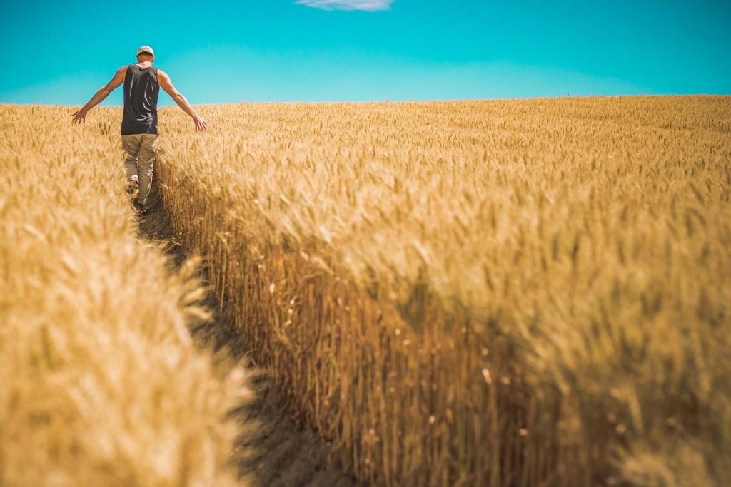 2020 Farmers To Families Food Box Program