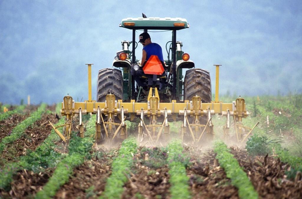 2020 Farmers To Families Food Box Program