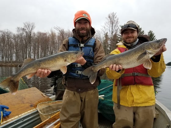 Wisconsin Planning Walleye Management Plan Updates - The Rogue Outdoorsman